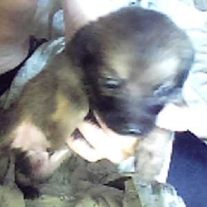 ������ ������ ��������.