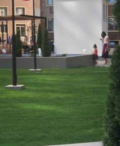 ������ ������ �������� � ���� � ������ , ����� �������