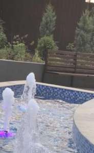 ������ ������ �������� � ���� � ������ , ����� �������