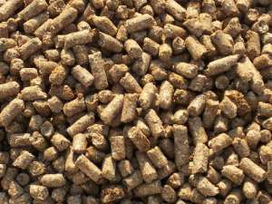 ������ ������ ���������