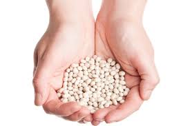 ������ ������. ��������� ���������. ������������ ����� ������. - ����������