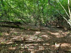 ������ ������ ������������ ����������� �����������, ���� ���������, 1841400 ���.