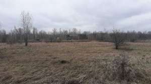 ������ ������ ������������ ����������� �������������, ����������, 2306430 ���.