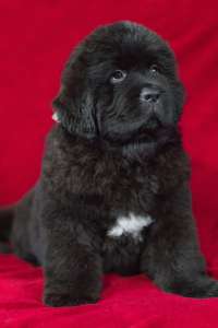 ������ ������ �������������