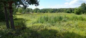 ������ ������ ��������������������� ����������� �����������, �����, 90000 $ - ����������