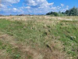 ������ ������ ��������������������� ����������� �����������, �����`�, 34276000 ���.