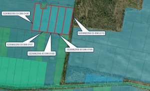 ������ ������ ��������������������� ����������� �������������, �������, 331245 ���. - ����������