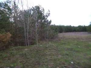 ������ ������ ��������������������� ����������� �������������, ��������, 212500 ���.