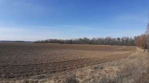 ������ ������ ��������������������� ����������� �������������, ��������, 218540 ���. - ����������