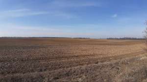 ������ ������ ��������������������� ����������� �������������, ��������, 218540 ���.