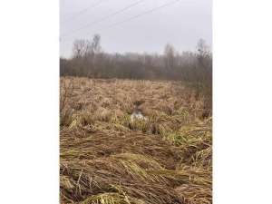 ������ ������ ��������������������� ����������� �������������, ��������, 220570 ���. - ����������