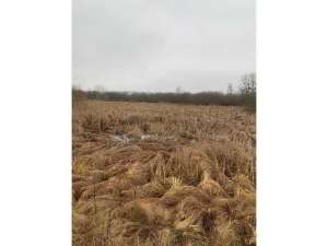 ������ ������ ��������������������� ����������� �������������, ��������, 220570 ���.