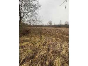 ������ ������ ��������������������� ����������� �������������, ��������, 220570 ���.