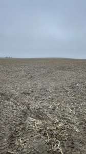 ������ ������ ��������������������� ����������� �������������, ��������, 223533 ���.