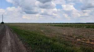 ������ ������ ��������������������� ����������� �������������, ��������, 223570 ���.