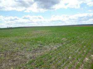 ������ ������ ��������������������� ����������� �������������, ��������, 258400 ���.