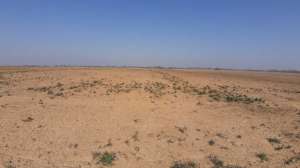 ������ ������ ��������������������� ����������� �������������, ��������, 258400 ���. - ����������