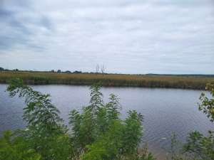 ������ ������ ��������������������� ����������� �������������, ��������, 958800 ���. - ����������