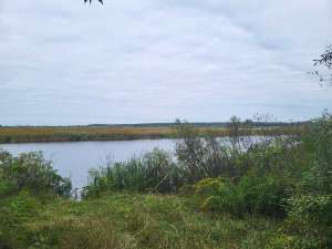 ������ ������ ��������������������� ����������� �������������, ��������, 958800 ���.