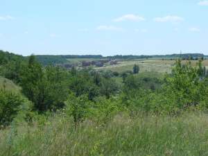 ������ ������� 17 �����