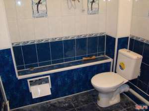 ������ ���-����