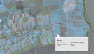 ������ �������