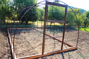 ������ �������