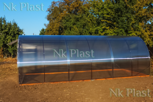 ������ �������