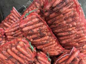 ������ �������