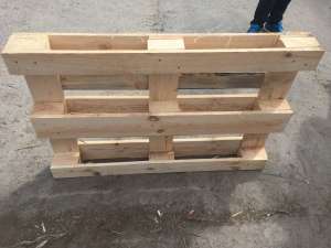 ������ �������