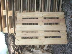 ������ �������