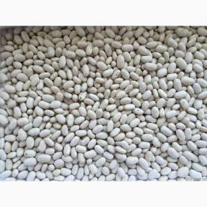 ������ ������� - ����������