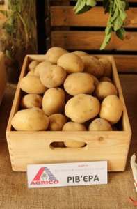 ������ ������� г��� �� ������ - ����������