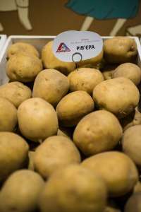 ������ ������� г��� �� ������