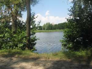 ������ ������� � � ����� 350 $.