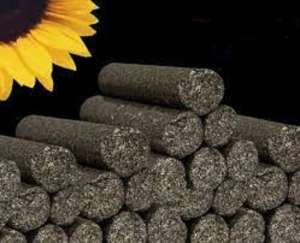 ������, ������� � �������� ���������. - ����������