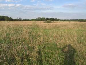 ������ ������� �. ����������, 9,5 �� - ����������