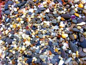 ������ ������� �� ����� - ����������