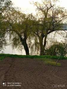 ������ ������� �� ����� ������ ������� ����� 25 ����� ���� ���������� ����� ���������� ��� � ĳ����� - ����������