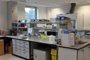 ������ ���-���� �� ��������� � �����������!