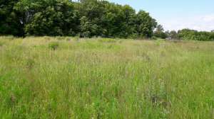 ������ ������� ��� ������������� ����, ��� - ����������