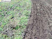 ������ ������� ���-4.2 ������- �������� � ���������