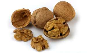 ������ ������� ����