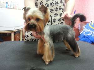 ������ ������� ����� � ����� ��������