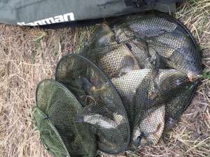 ������ ������� �����. ������ �������� �������, �� ������ 70 ��, 5 �� ����, 6 ������!