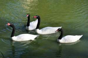 ������, �������, ������, ����, �������, �������