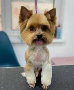 ������ ������� ������ ����� ���� ������� ������� �������� - ����������