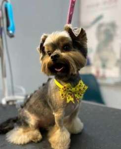 ������ ������� ������ ����� ���� ������� ������� ��������