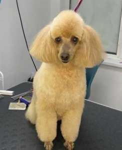 ������ ������� ������ ����� ���� ������� ������� ��������