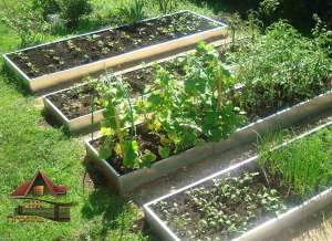 ������ ������� ������, ����� ������, ������